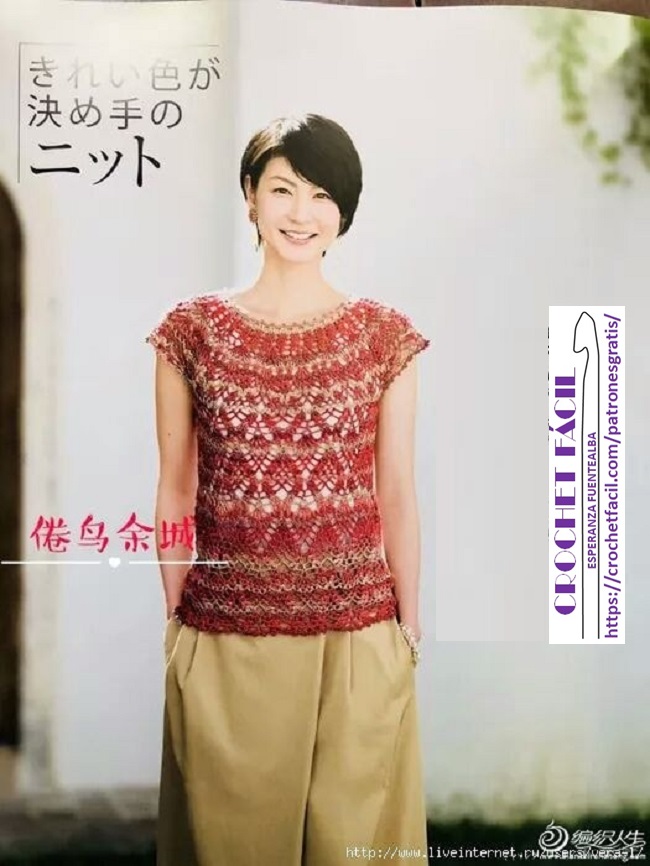 Blusa Crochet Puntada y Canesú